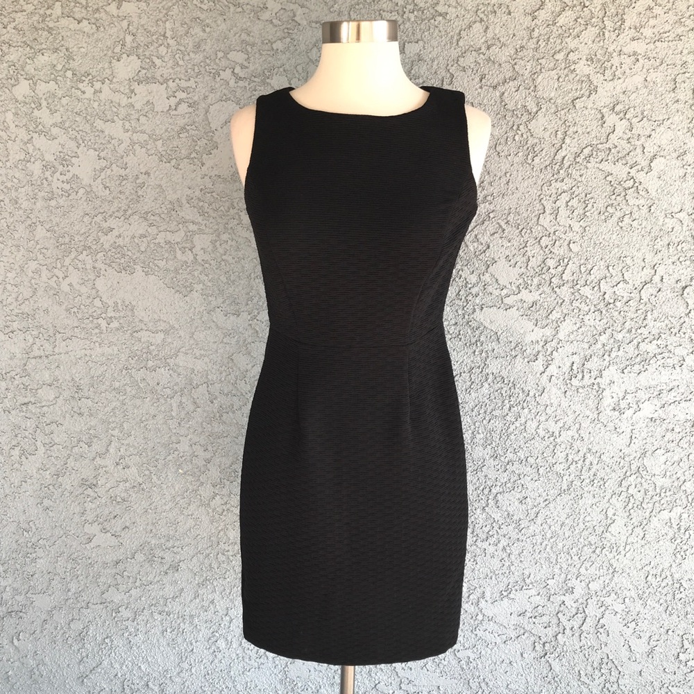 The Limited Sheath Black Dress Silver Lace back